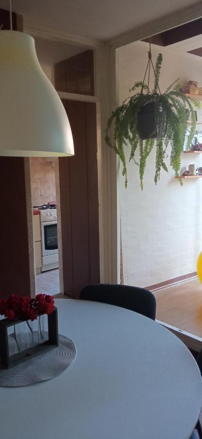 Branysol Apartman Novi Sad Luaran gambar