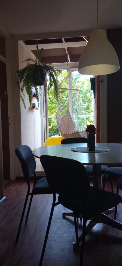 Branysol Apartman Novi Sad Luaran gambar